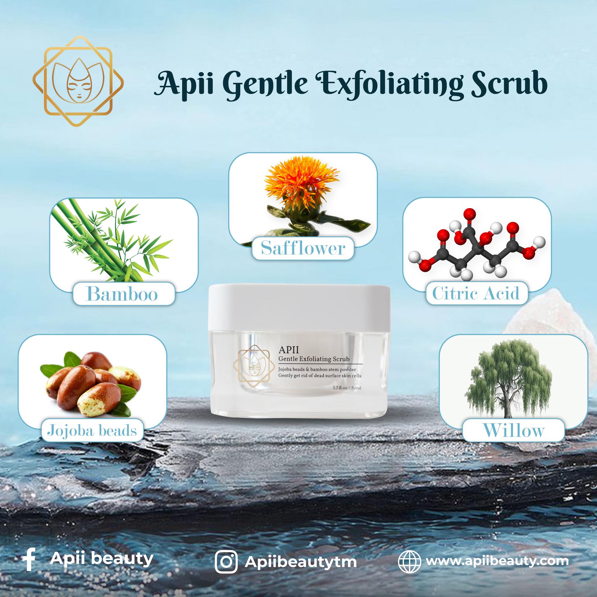 APII GENTLE EXFOLIATING SCRUB