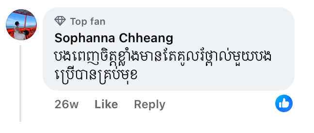 APII Rosie Blush ( បញ្ចពណ៍)